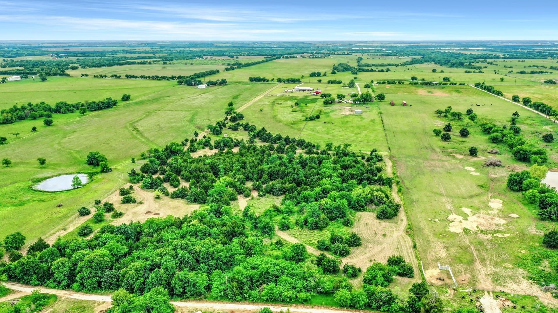 10.99 acres in Grayson County gallery image 3