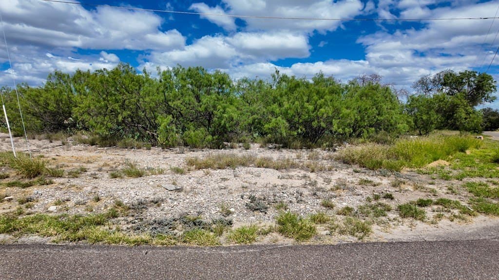 0.46 acres in Maverick County gallery image 3