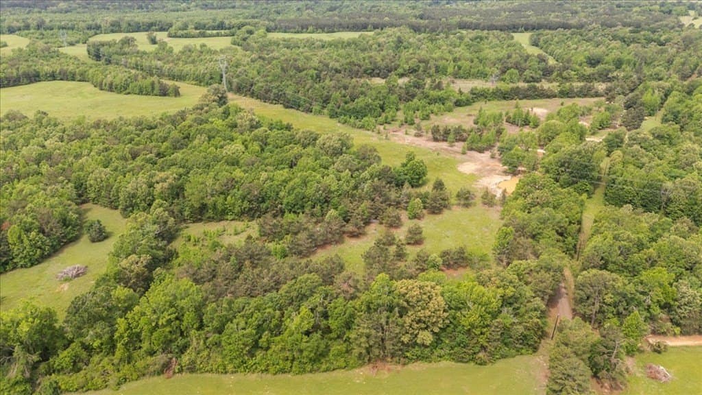 2 acres in Texas County featured view