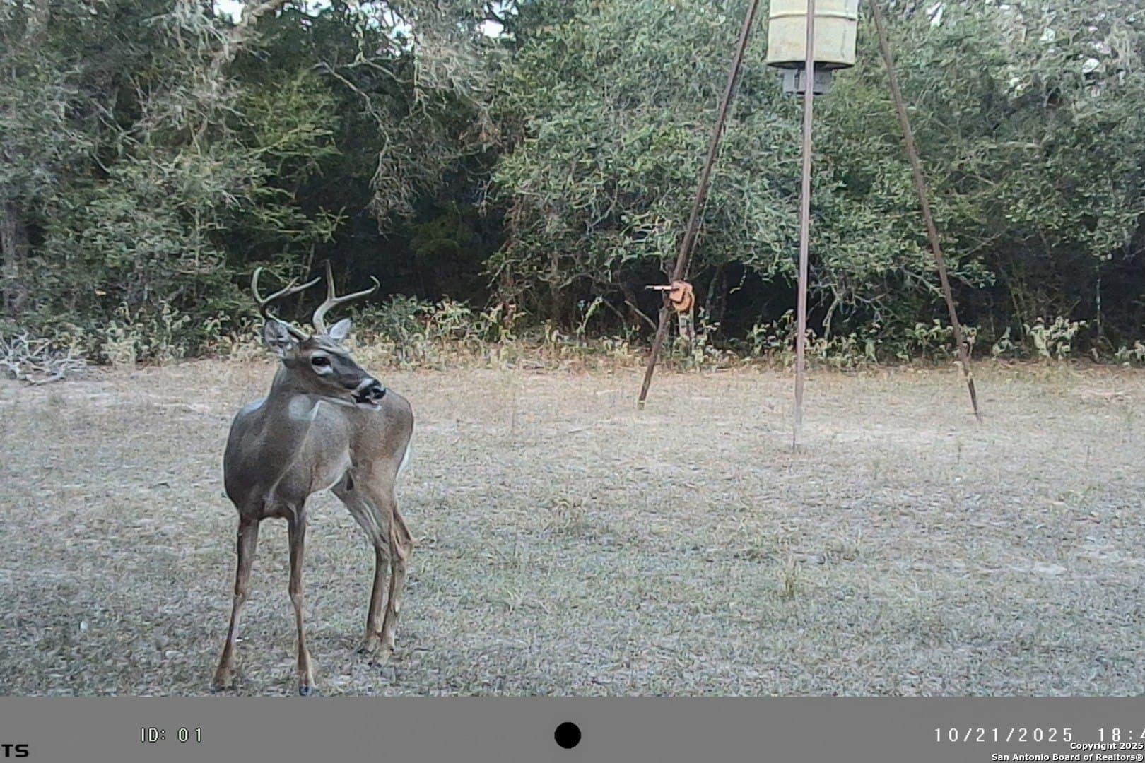 471.46 acres in Victoria County - photo 62