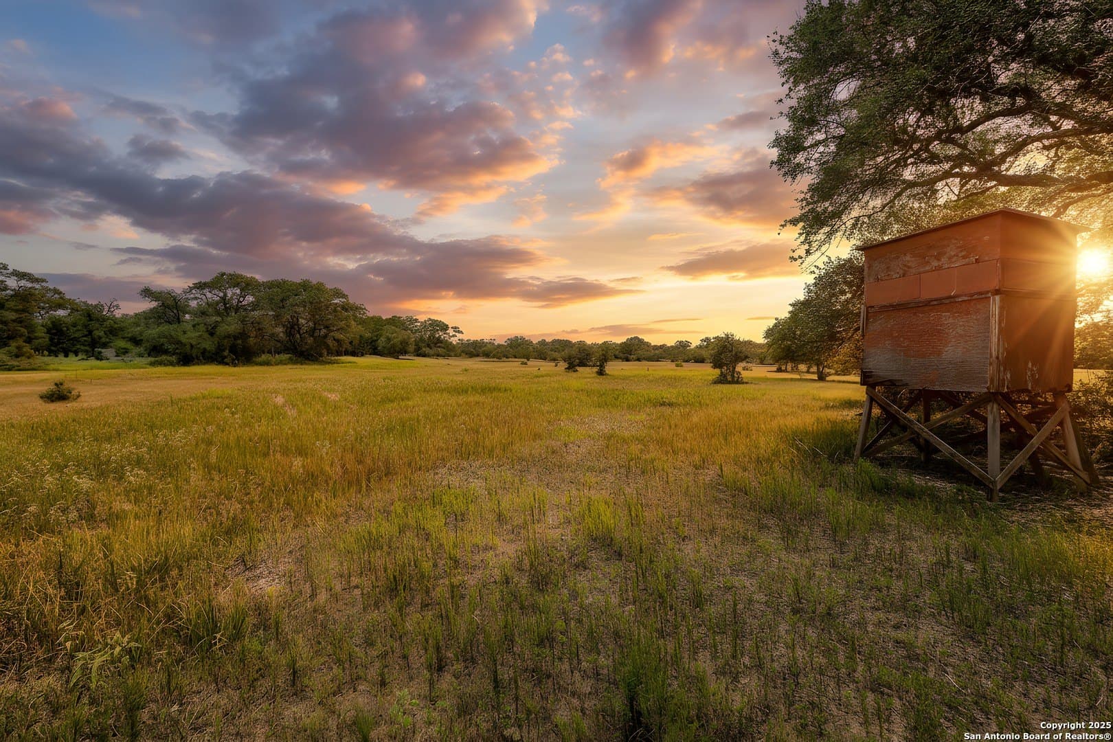 471.46 acres in Victoria County - photo 10