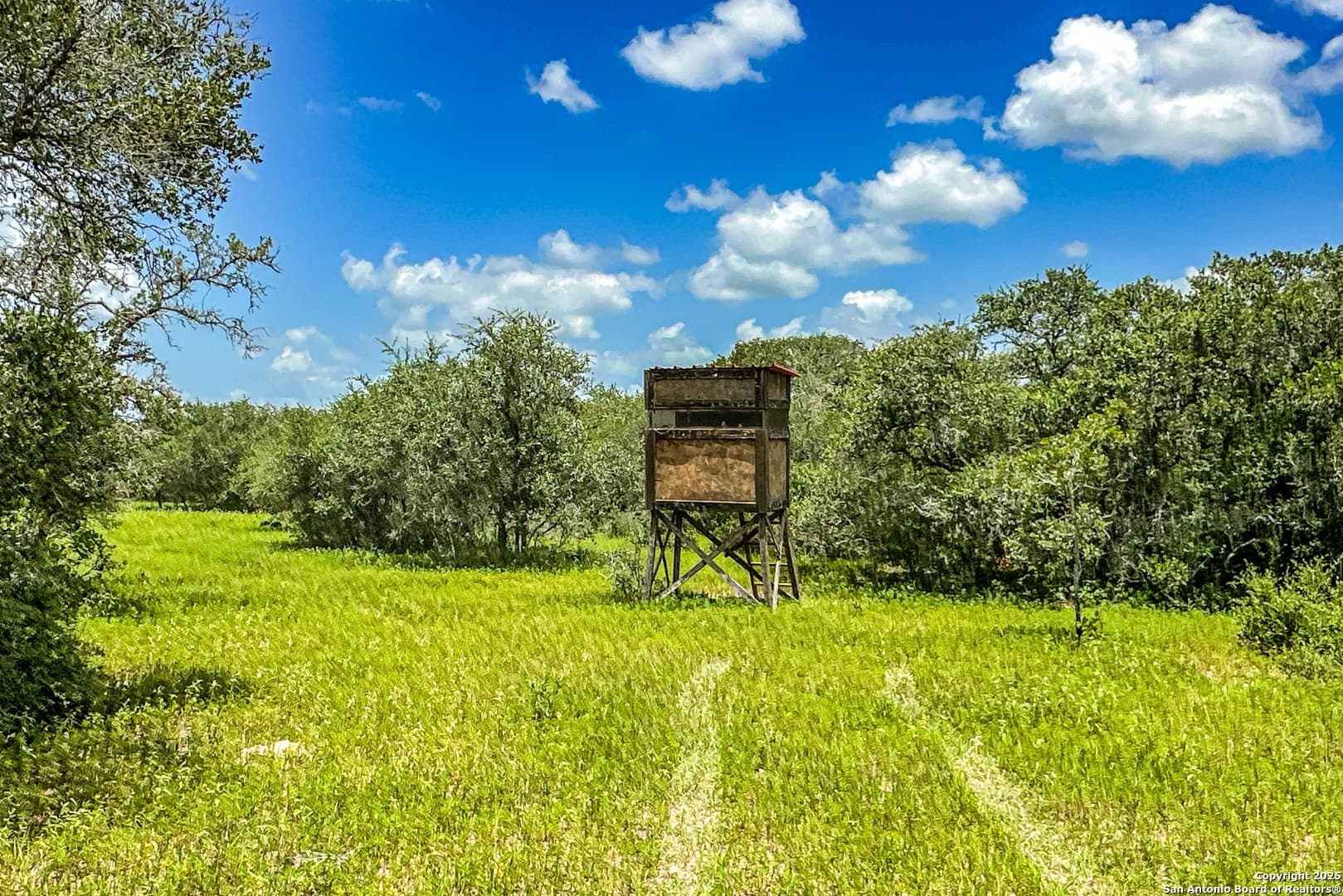 471.46 acres in Victoria County - photo 42