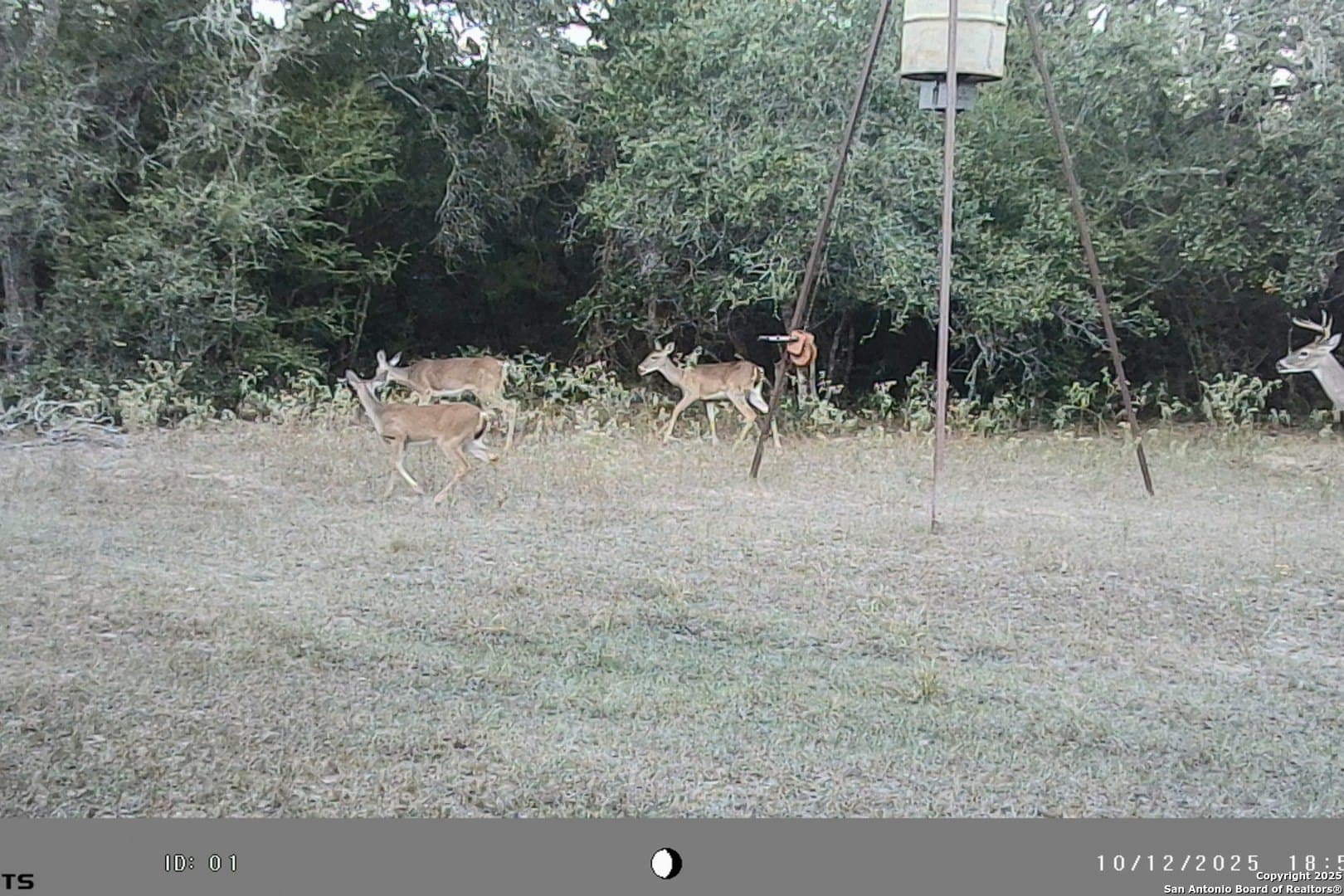 471.46 acres in Victoria County - photo 49