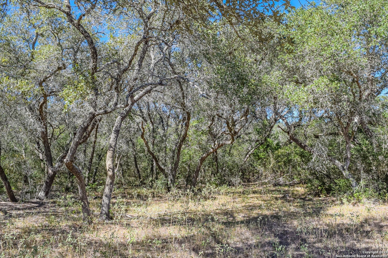 471.46 acres in Victoria County - photo 24