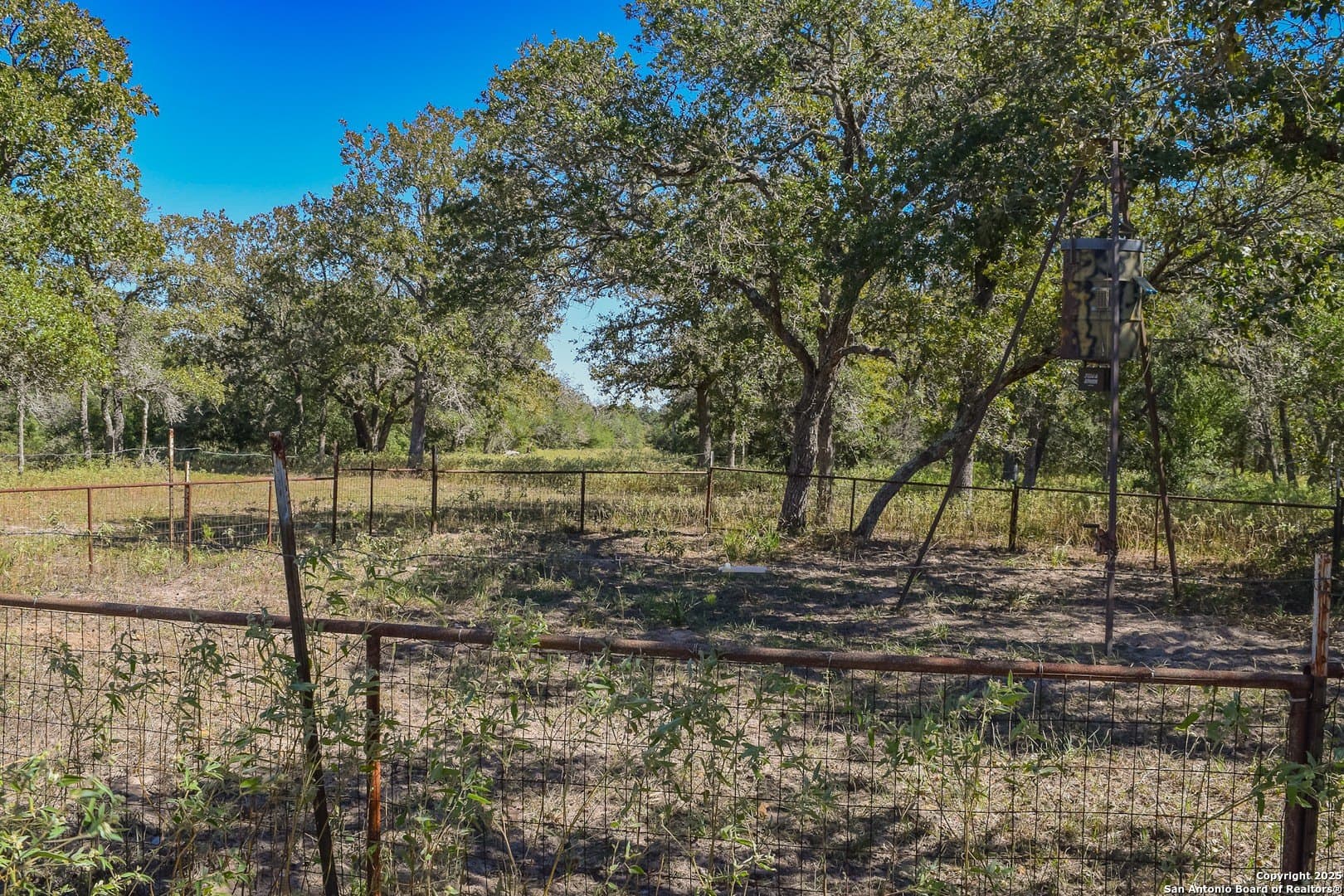 471.46 acres in Victoria County - photo 12