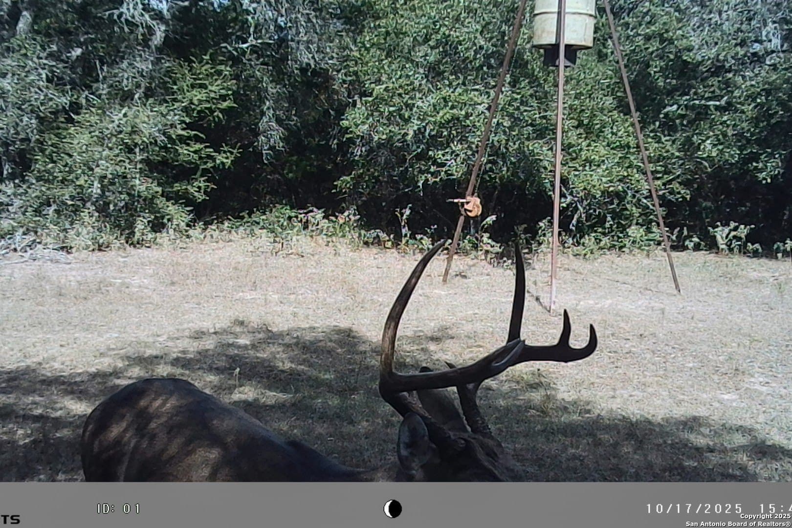 471.46 acres in Victoria County - photo 52