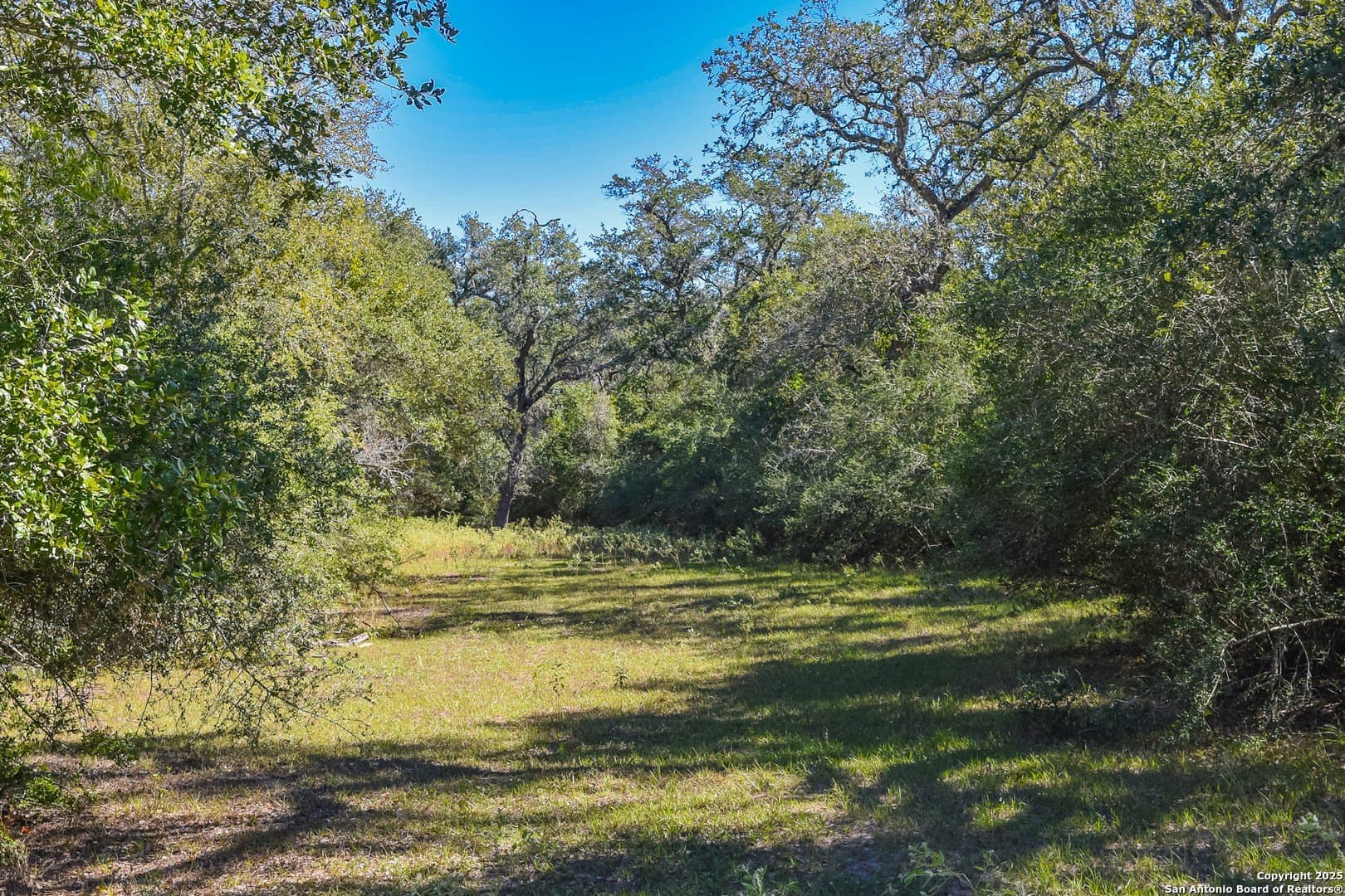 471.46 acres in Victoria County - photo 23