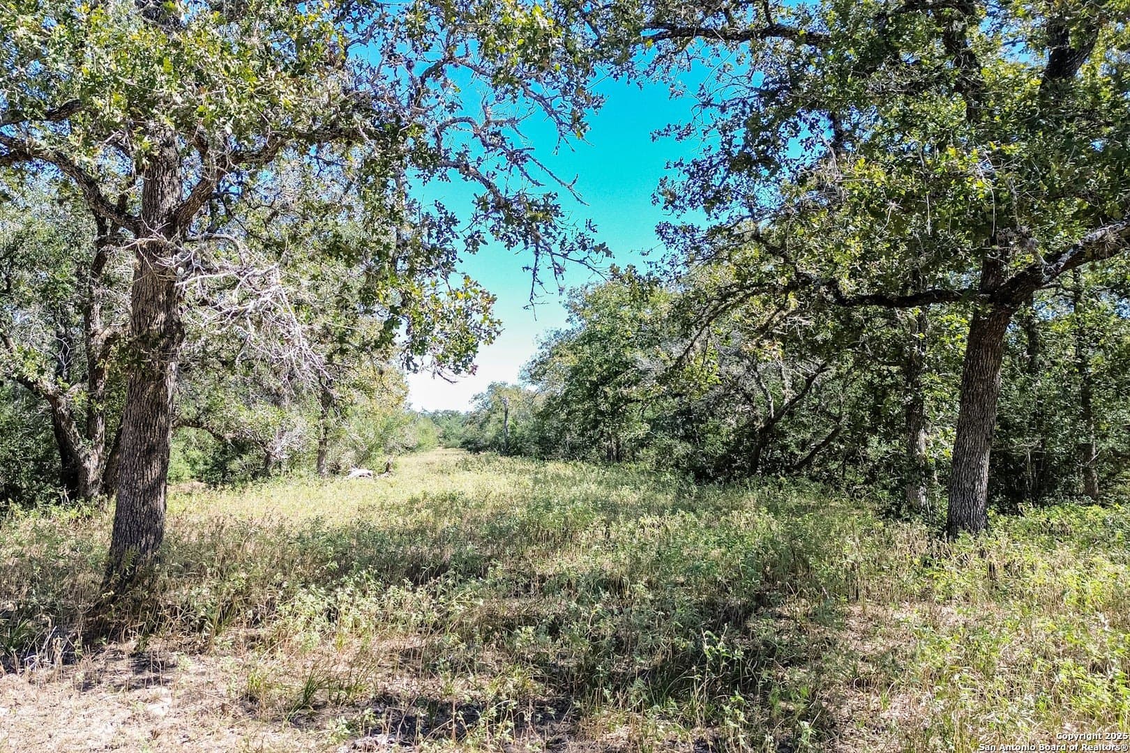 471.46 acres in Victoria County - photo 55