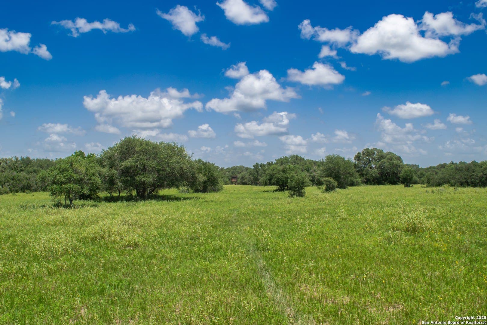 471.46 acres in Victoria County - photo 8