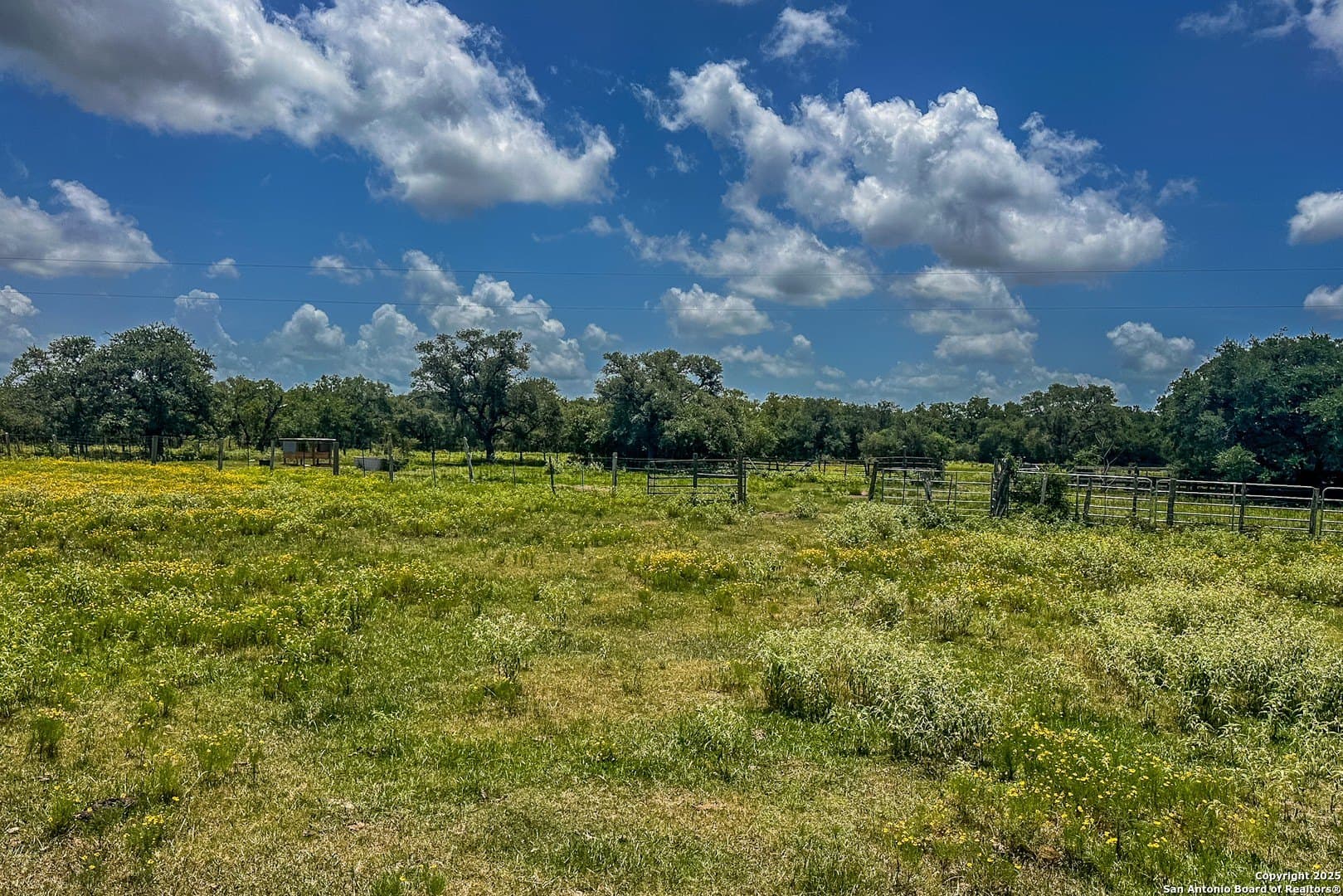 471.46 acres in Victoria County - photo 36