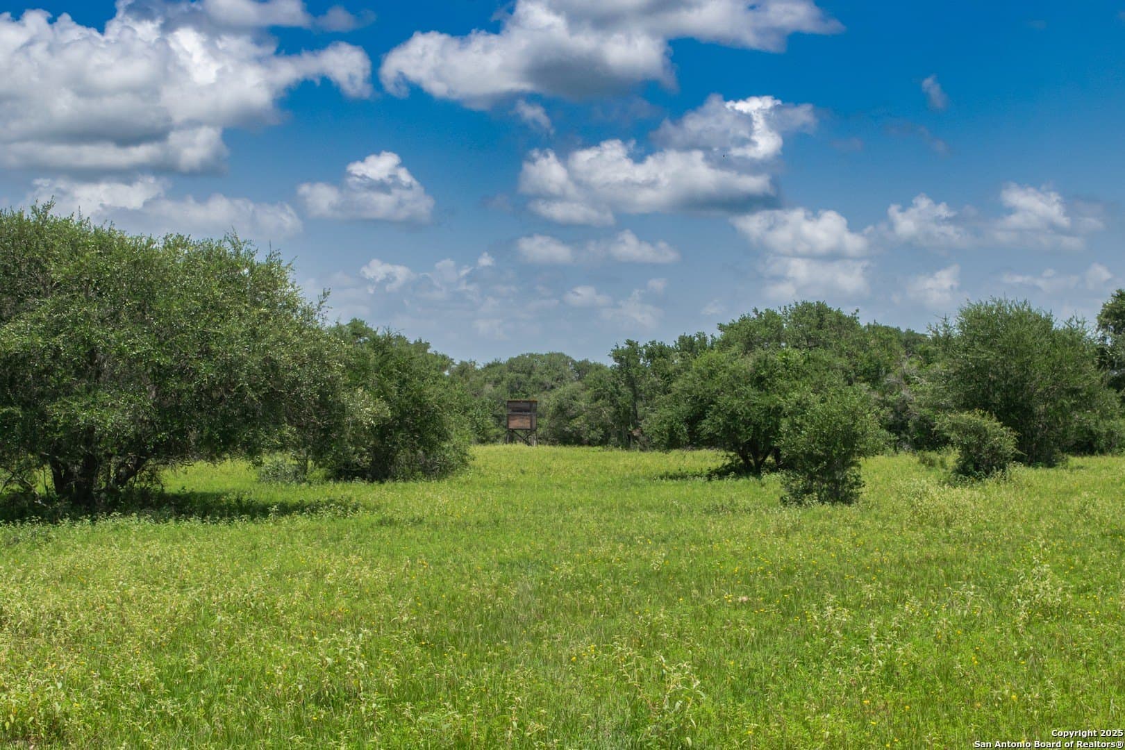 471.46 acres in Victoria County - photo 18