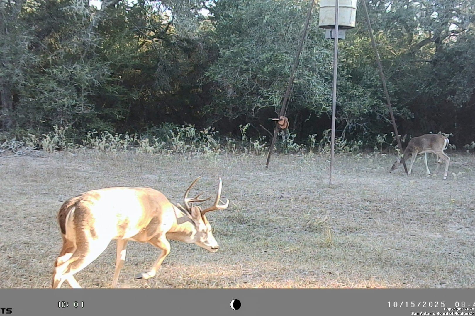 471.46 acres in Victoria County - photo 51