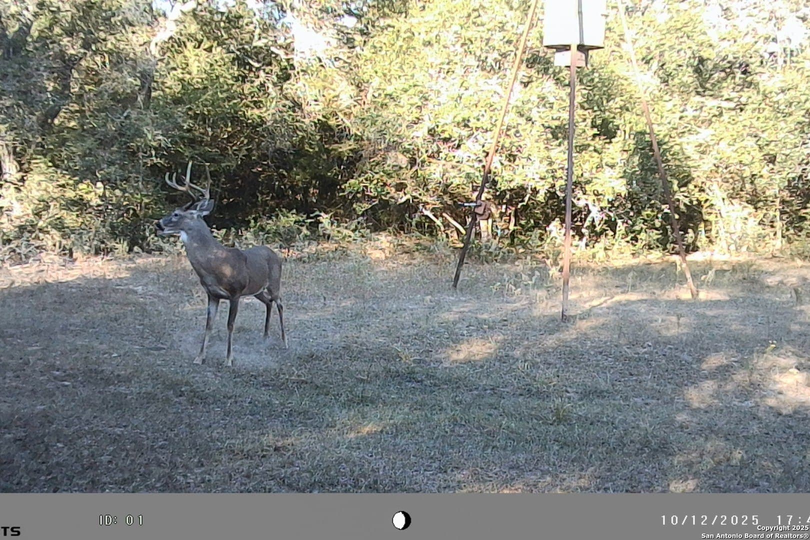 471.46 acres in Victoria County - photo 48