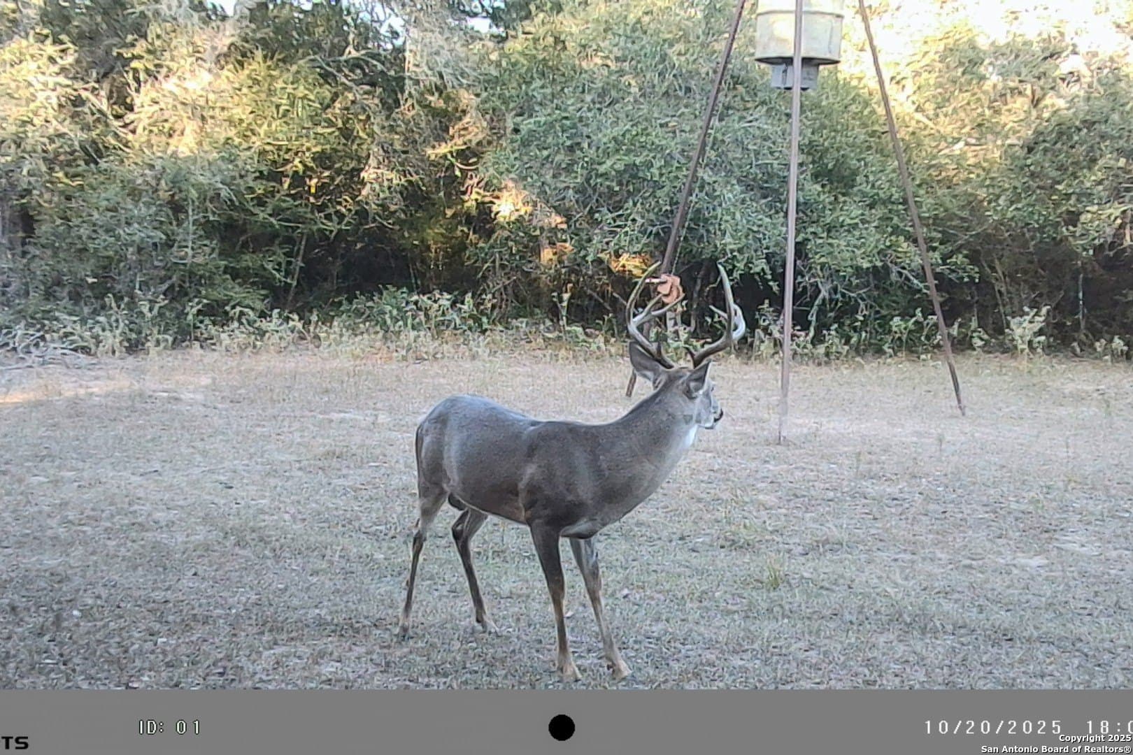 471.46 acres in Victoria County - photo 53