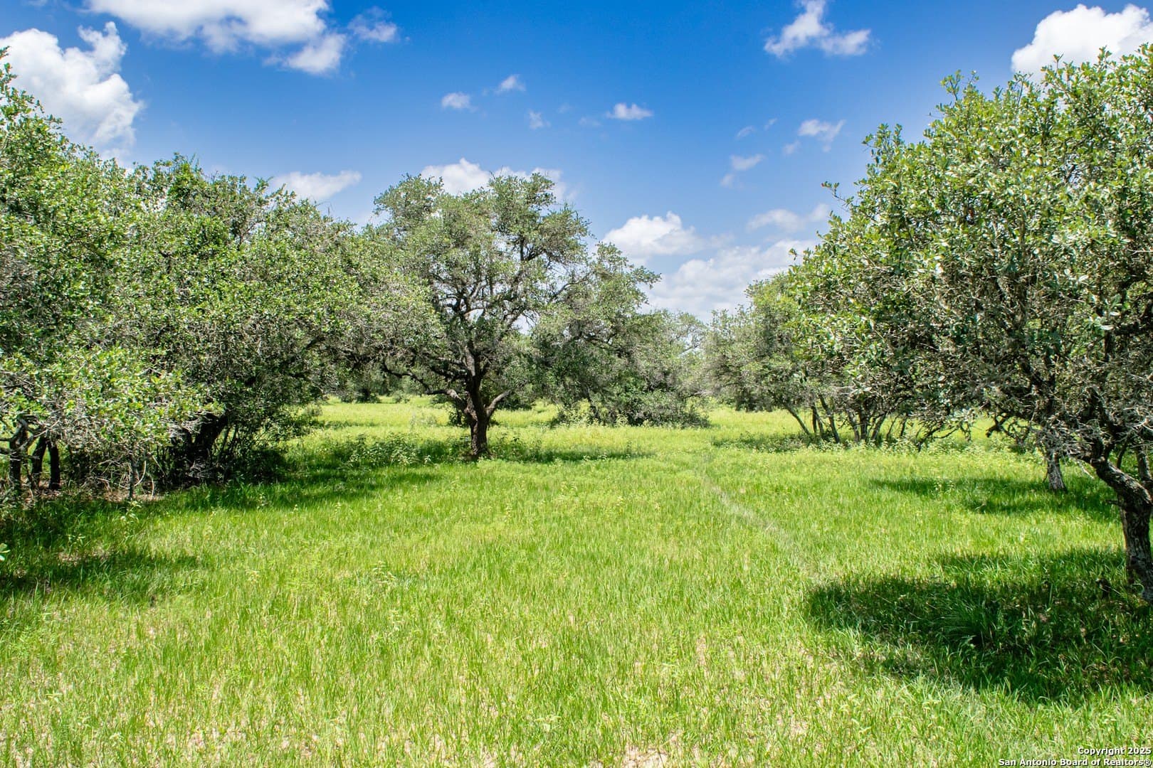 471.46 acres in Victoria County - photo 15