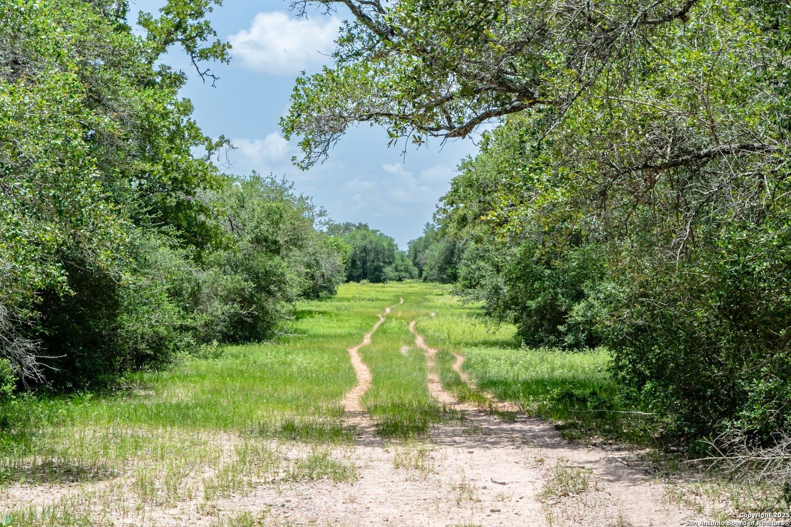 471.46 acres in Victoria County - photo 14