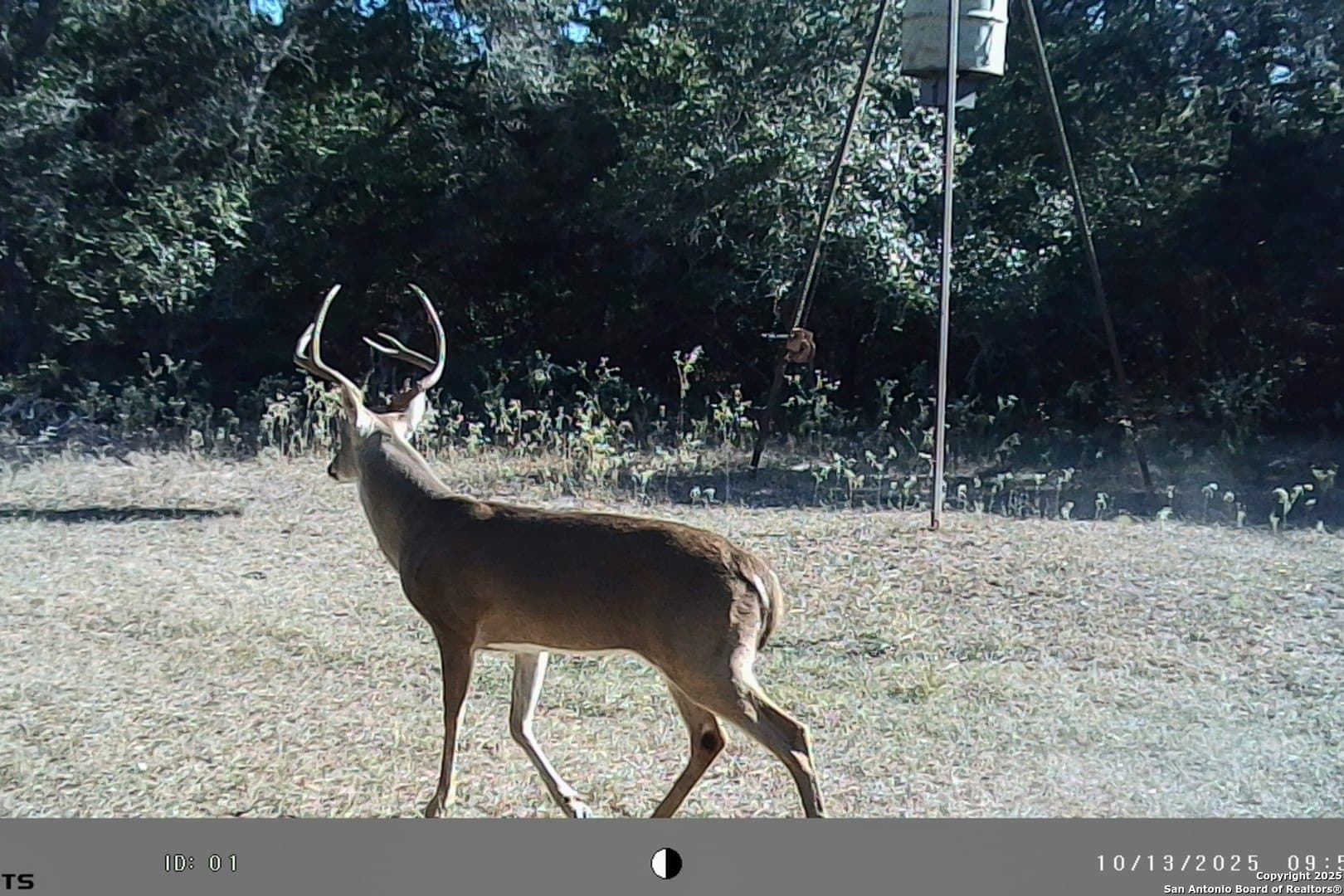 471.46 acres in Victoria County - photo 50