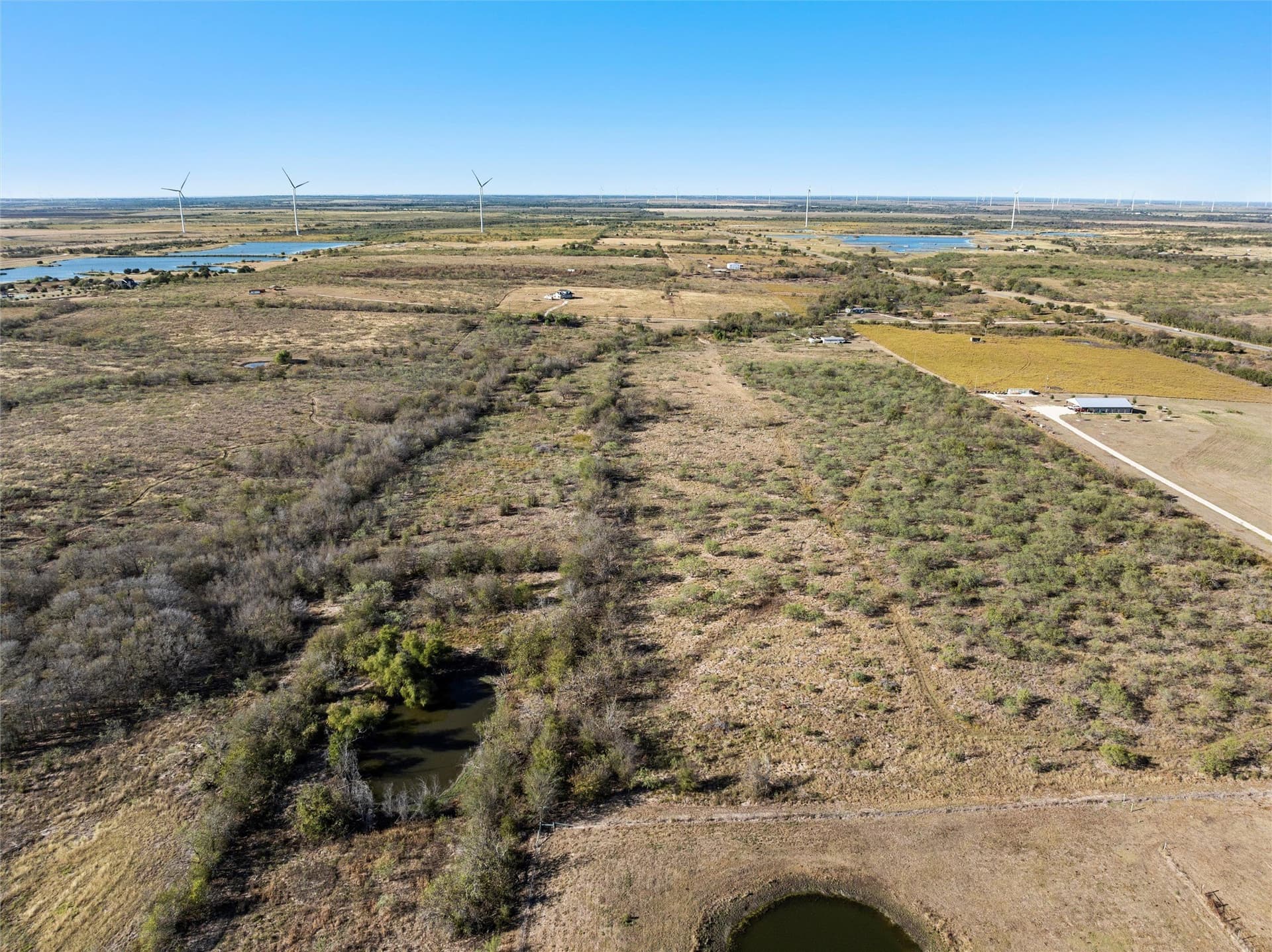 20 acres in Limestone County - photo 7