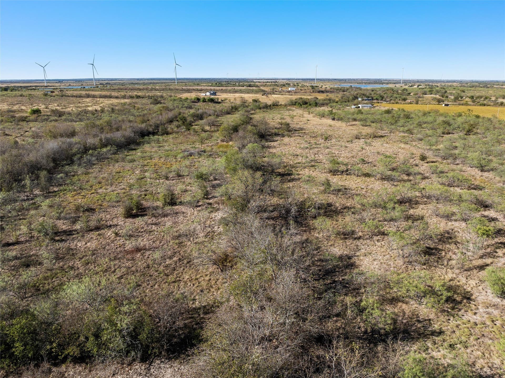 20 acres in Limestone County - photo 9