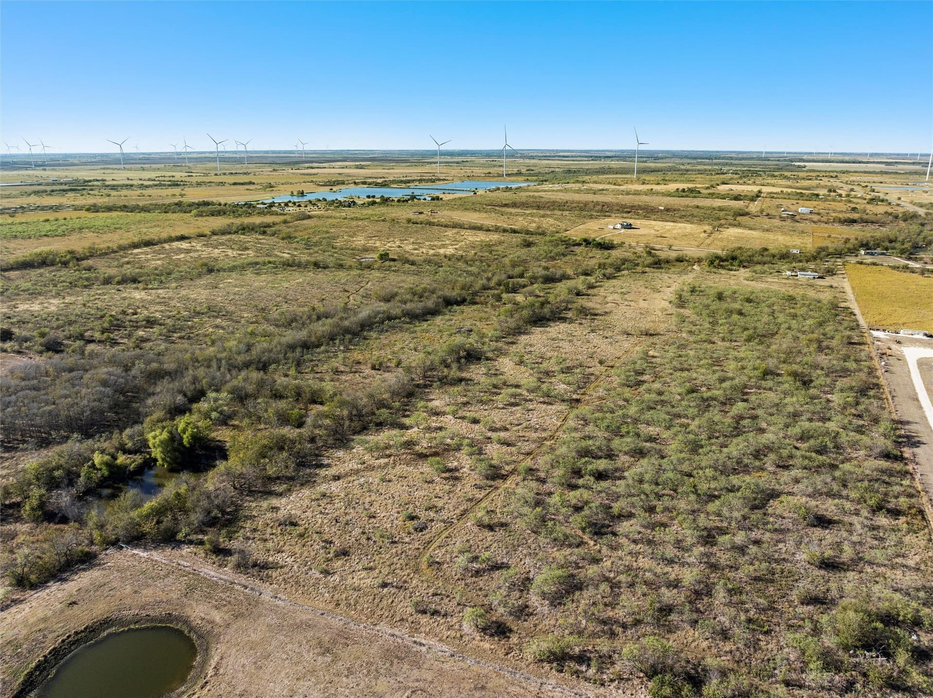 20 acres in Limestone County - photo 6