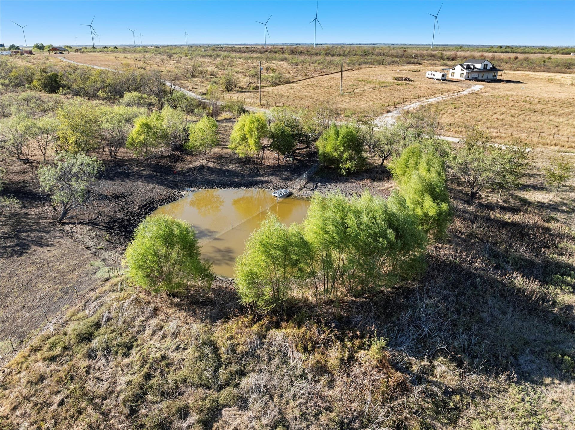 20 acres in Limestone County - photo 11