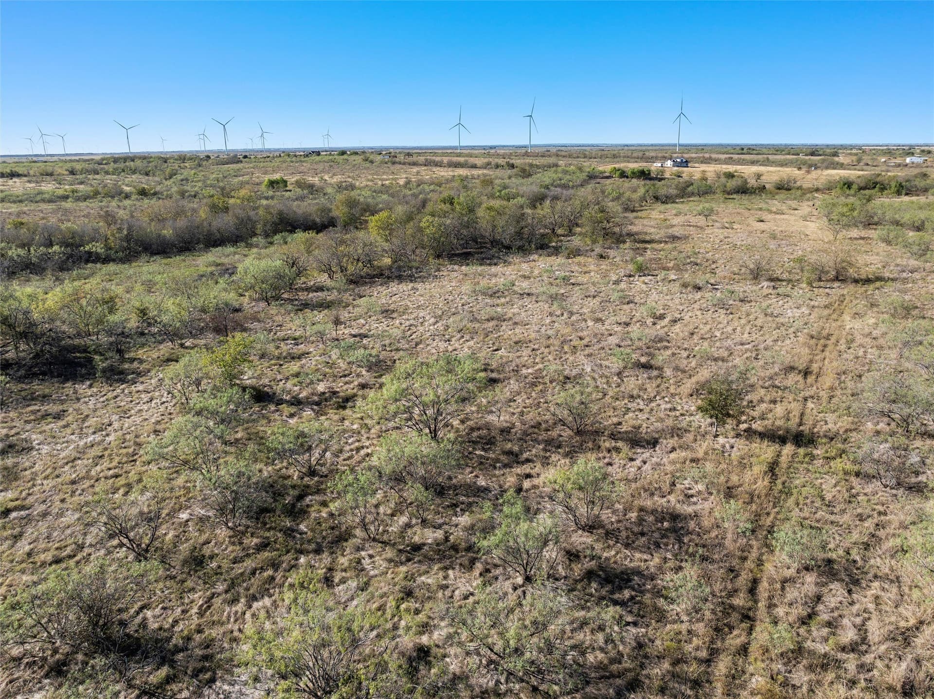 20 acres in Limestone County - photo 10