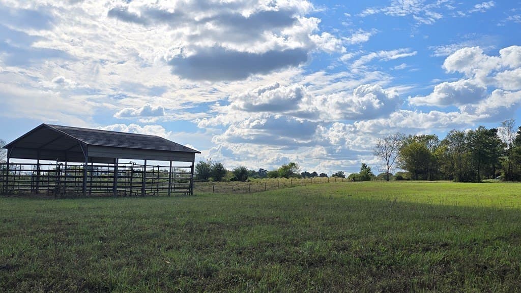 10 acres in Texas County gallery image 4