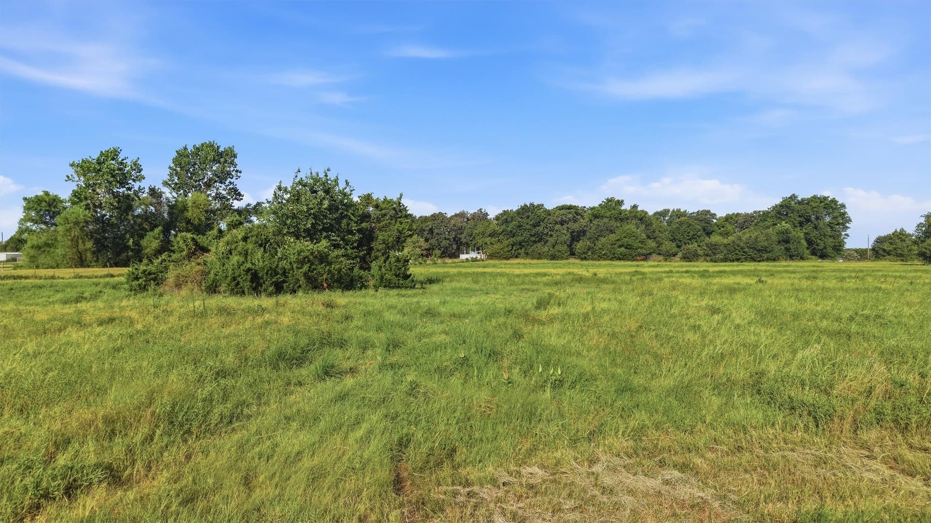 10 acres in Grayson County - photo 23