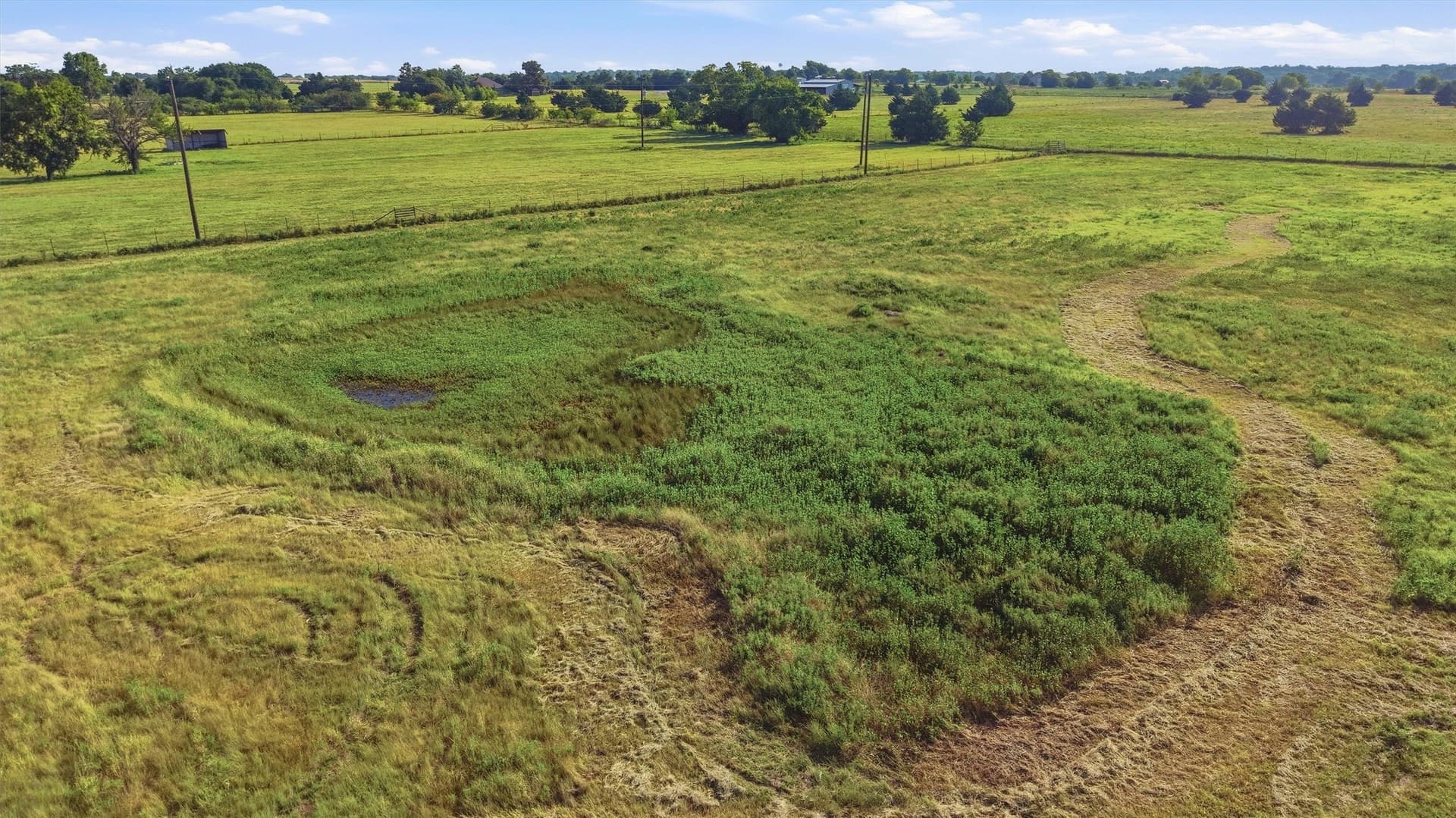 10 acres in Grayson County - photo 21