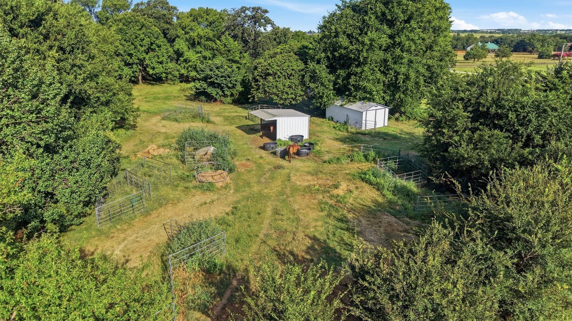 10 acres in Grayson County - photo 7