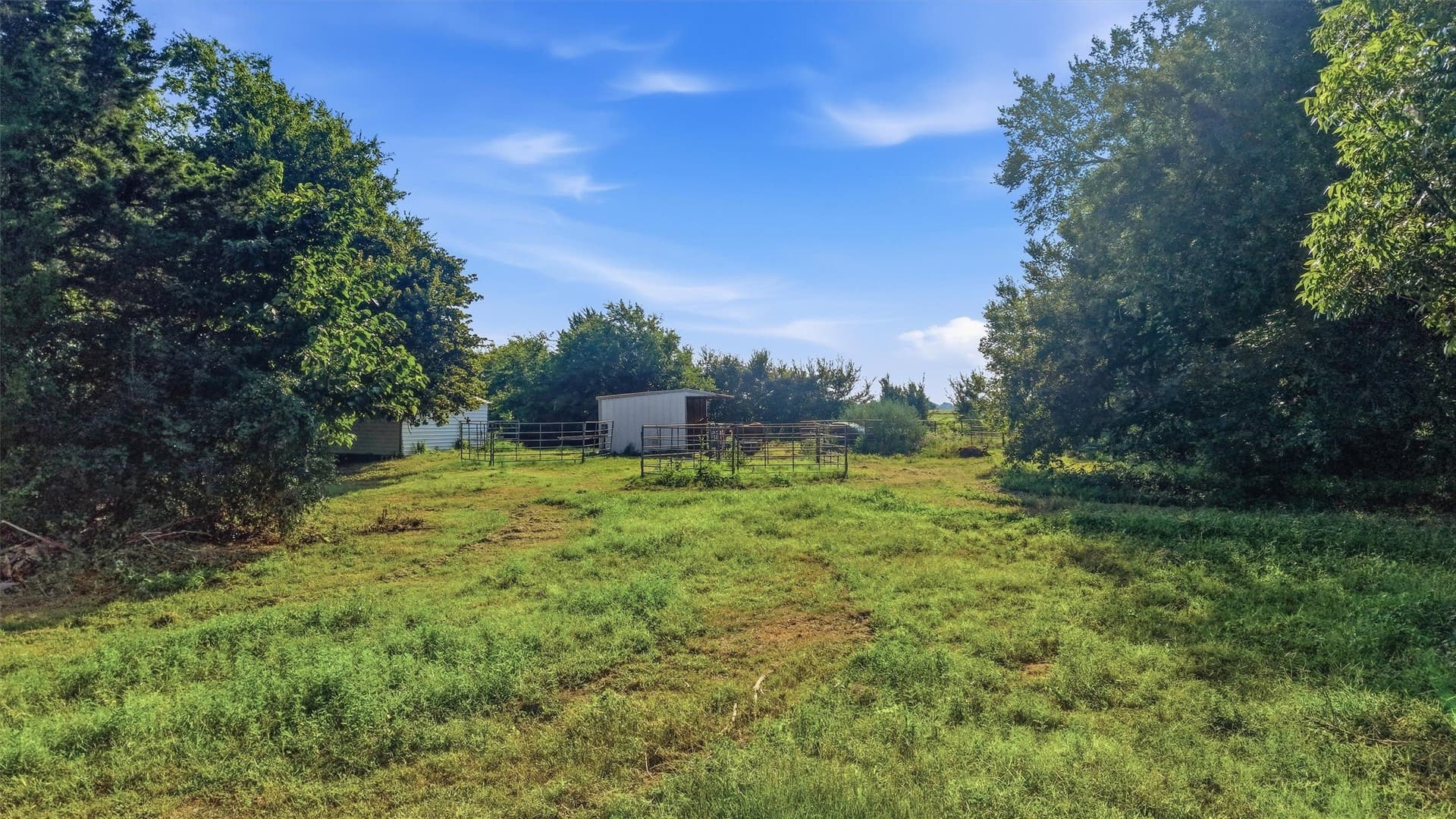 10 acres in Grayson County - photo 29