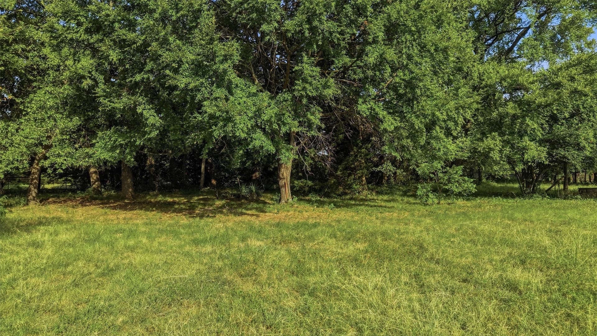 10 acres in Grayson County - photo 31