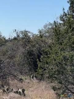 1.13 acres in Comal County gallery image 3