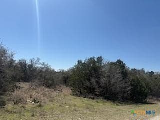 1.13 acres in Comal County gallery image 2