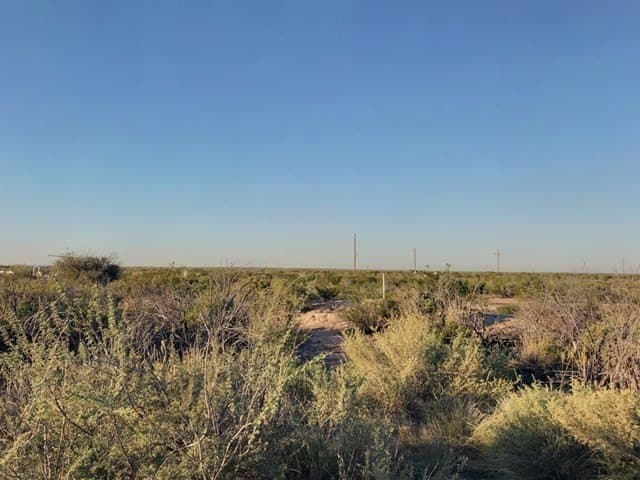 10 acres in Pecos County gallery image 4