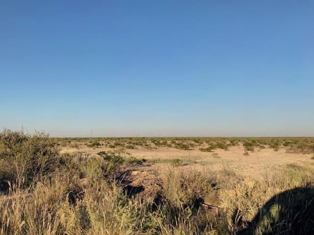 10 acres in Pecos County gallery image 2