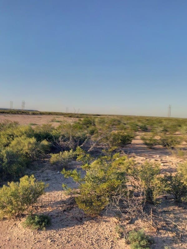 10 acres in Pecos County - photo 7