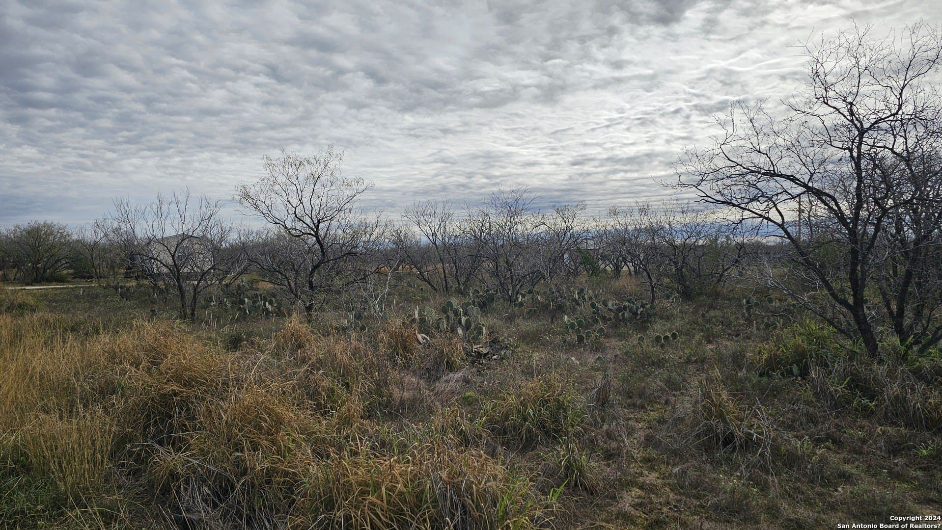 0.5 acres in Atascosa County gallery image 4