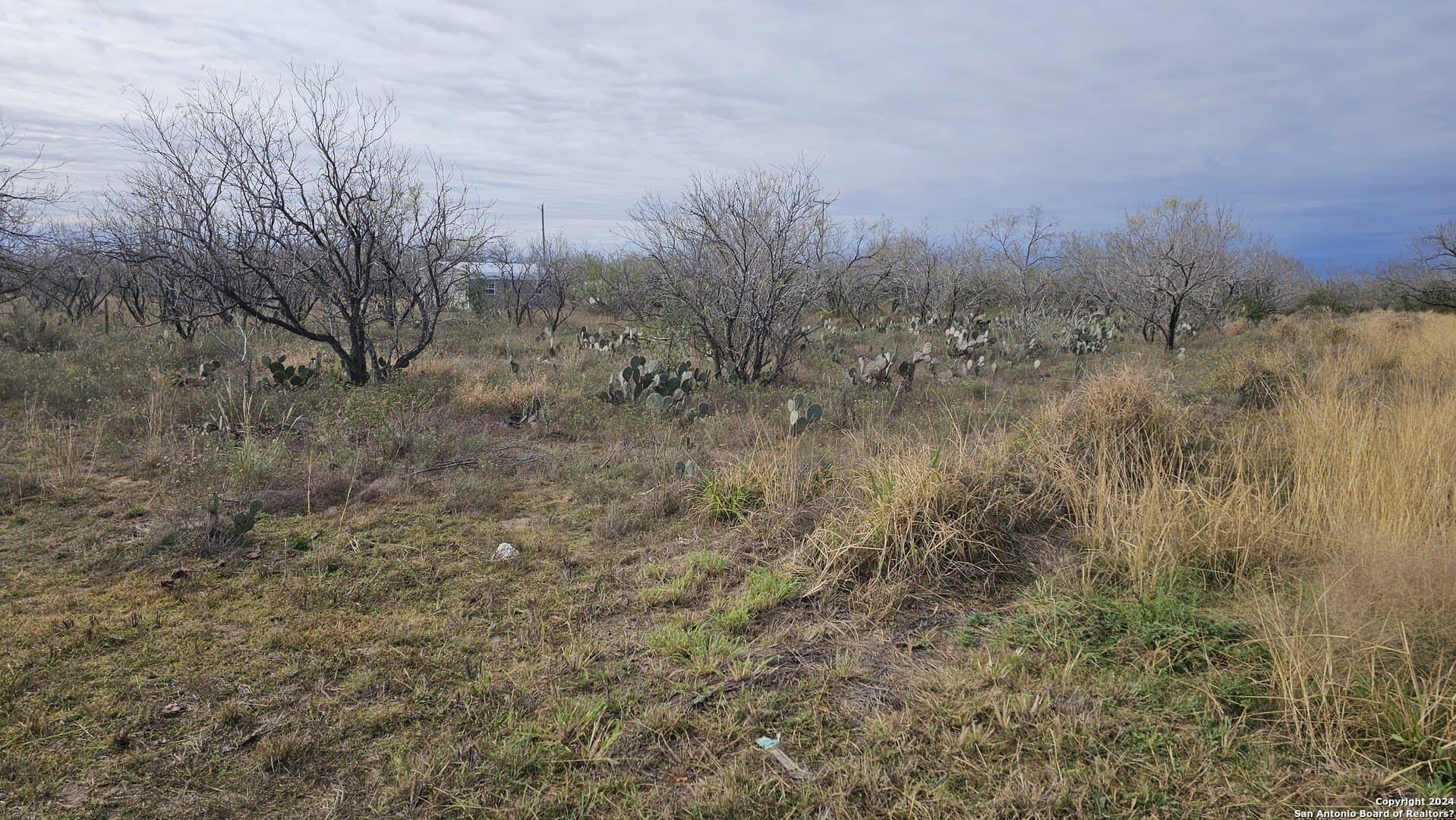 0.5 acres in Atascosa County gallery image 2