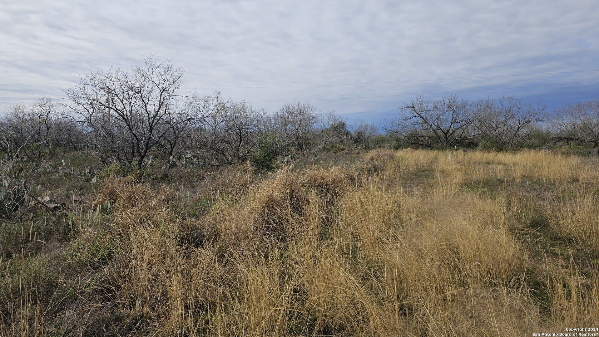 0.5 acres in Atascosa County