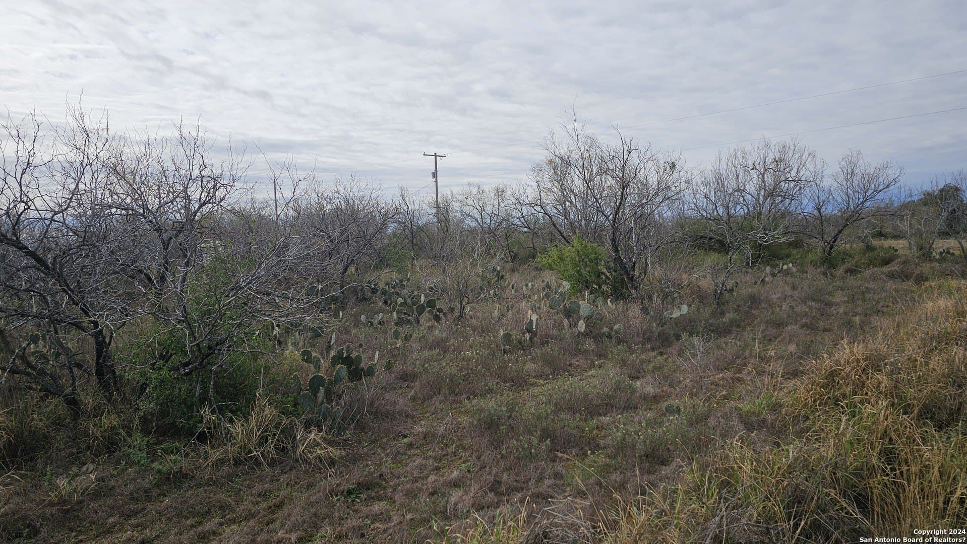 0.5 acres in Atascosa County gallery image 3