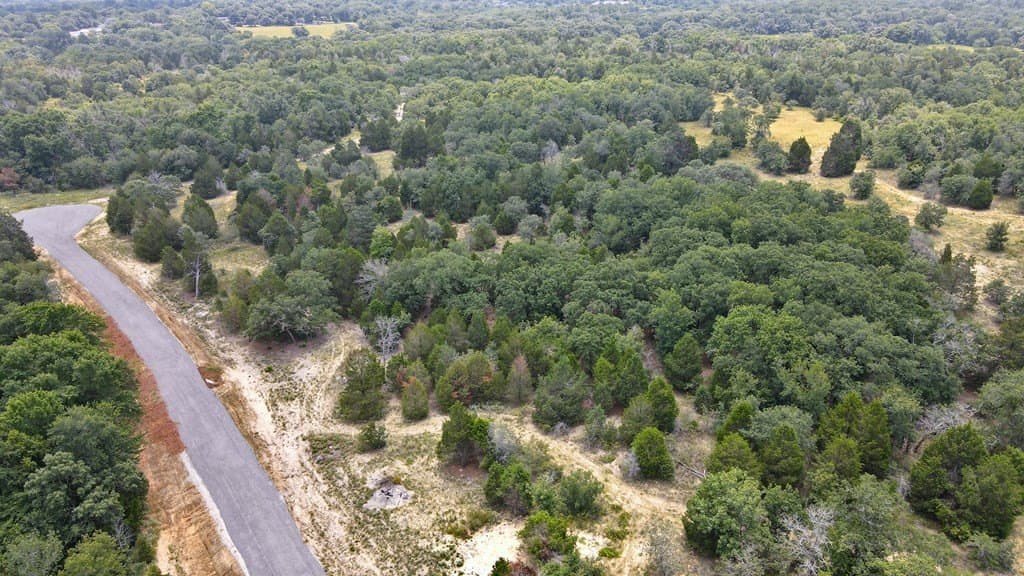 45.69 acres in Henderson County - photo 6
