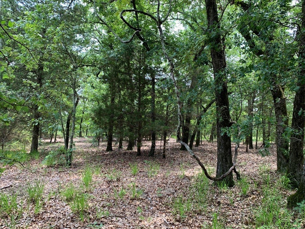 45.69 acres in Henderson County - photo 15