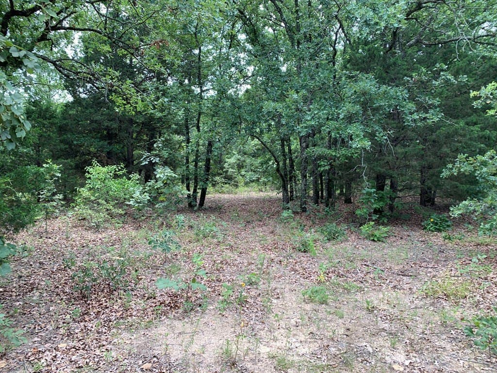 45.69 acres in Henderson County - photo 12