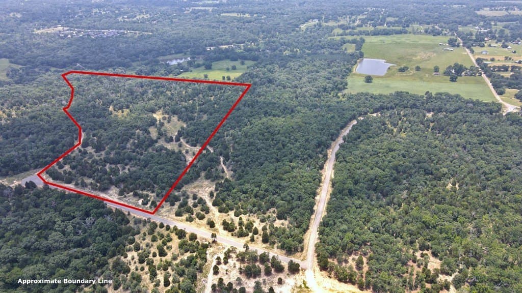 45.69 acres in Henderson County gallery image 4