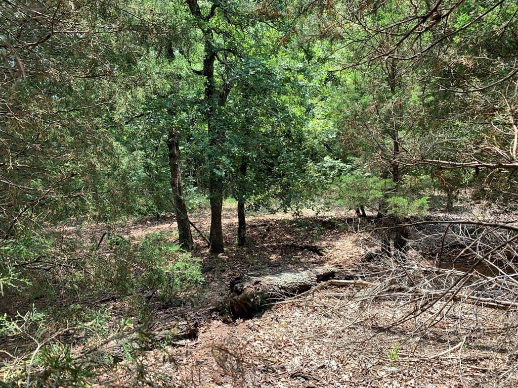 45.69 acres in Henderson County - photo 11