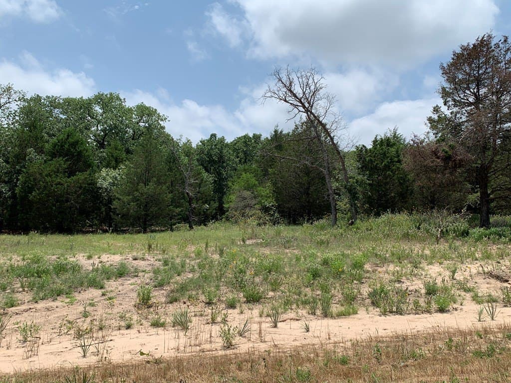 45.69 acres in Henderson County - photo 10