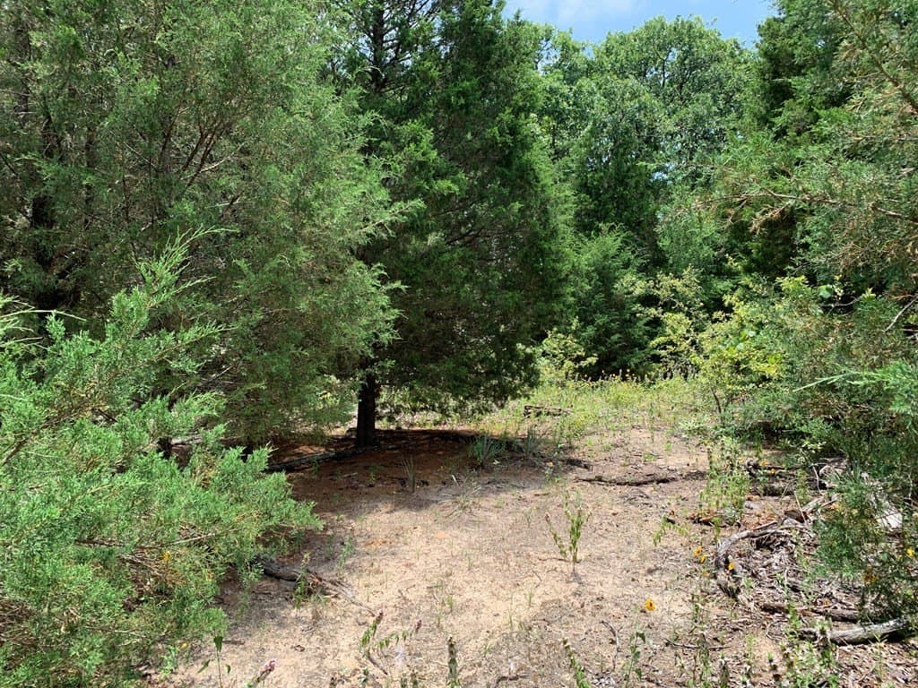 45.69 acres in Henderson County - photo 16