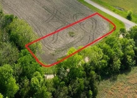 1 acres in Lamar County gallery image 2