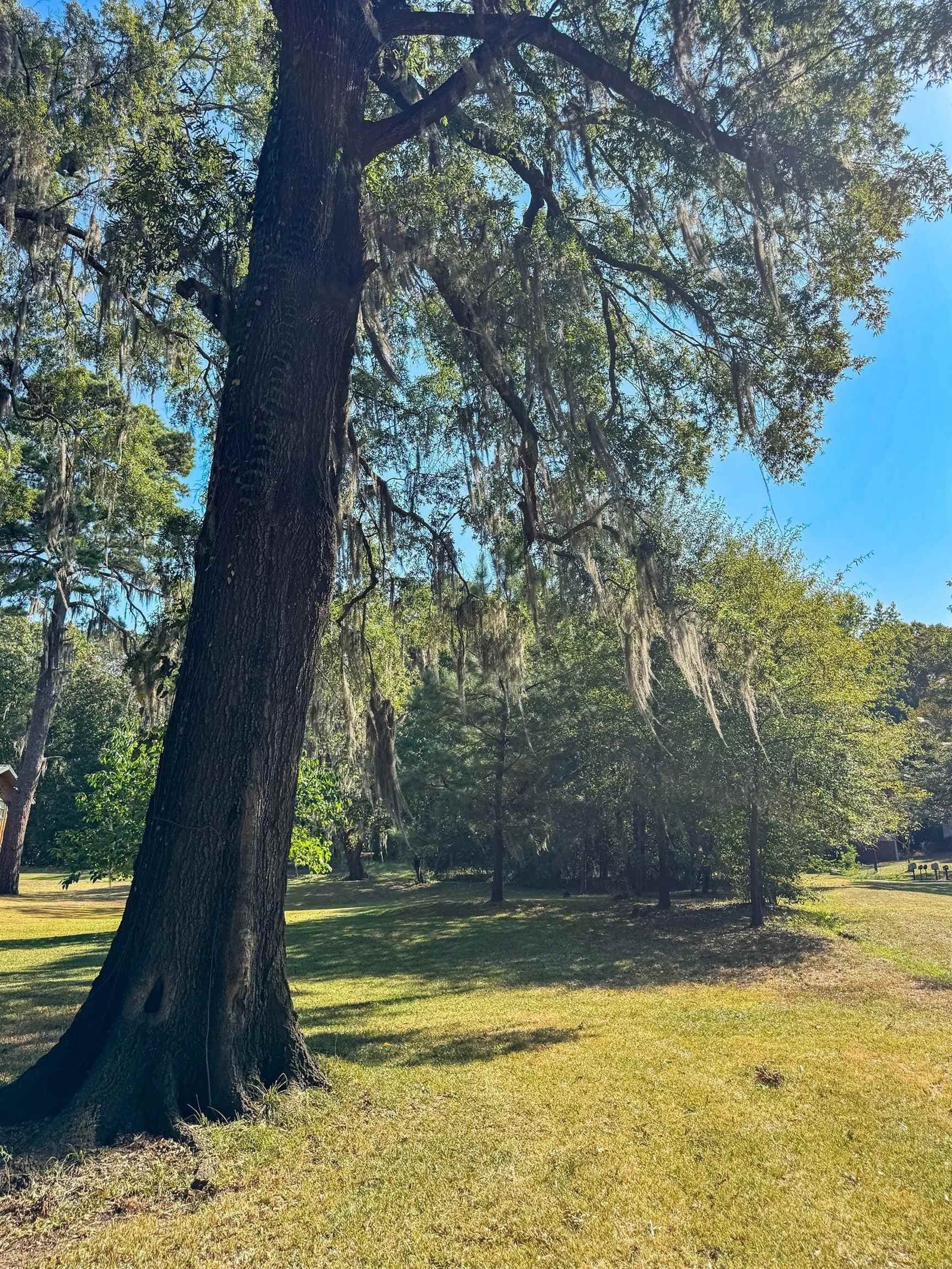 0.45 acres in Marion County - photo 12